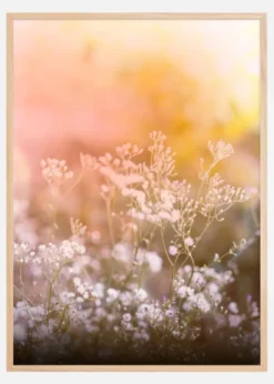 A Beautiful Summer Evening Poster (21x29.7 cm (A4))