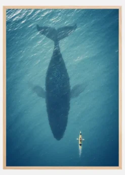 A Big Whale Poster (21x29.7 cm (A4))