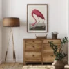 American Flamingo Poster (21x29.7 cm (A4))