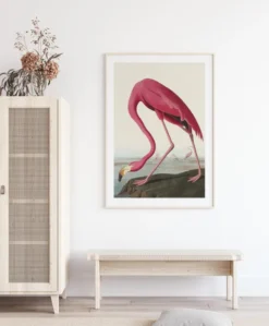 American Flamingo Poster (21x29.7 cm (A4))