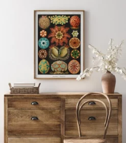 Animalium Poster (21x29.7 cm (A4))