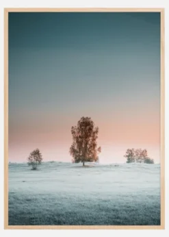 A Peaceful Morning Poster (21x29.7 cm (A4))