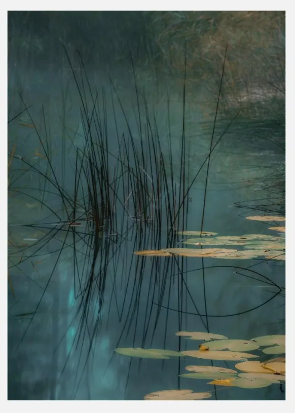 Aqua Canvastavla (30x40 cm)