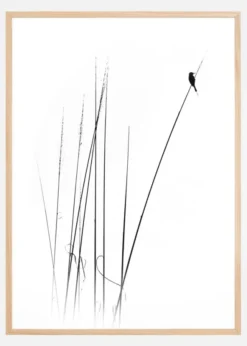 A sabbatical Poster (21x29.7 cm (A4))