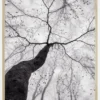 A view of the tree crown Poster (21x29.7 cm (A4))