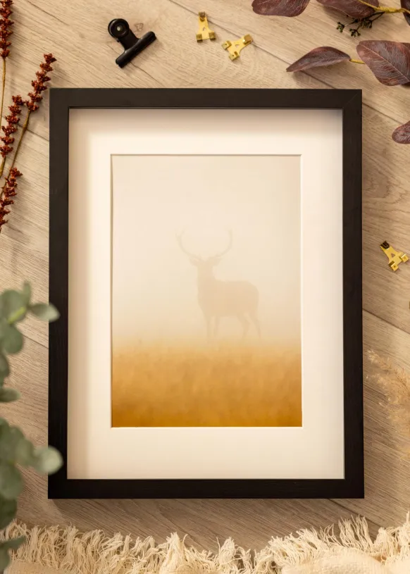 BGA Boxram Svart 56x71 cm