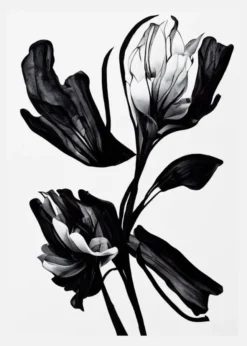 Black Flower Canvastavla (30x40 cm)