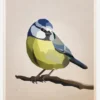 Blue Tit Canvastavla (30x40 cm)