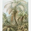 Botanicum Canvastavla (30x40 cm)