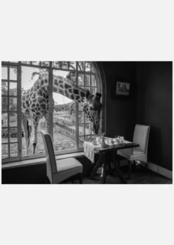 Breakfast Time Canvastavla (30x40 cm)