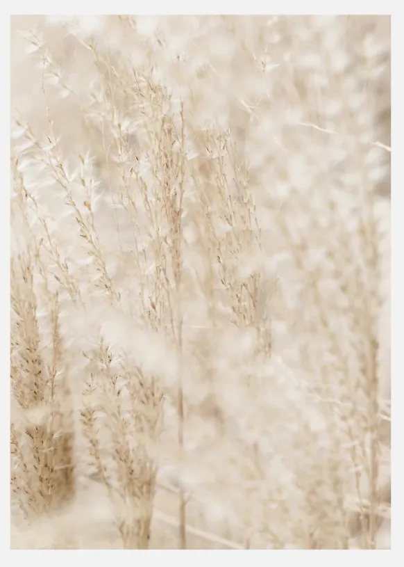 Bright Grass Canvastavla (30x40 cm)