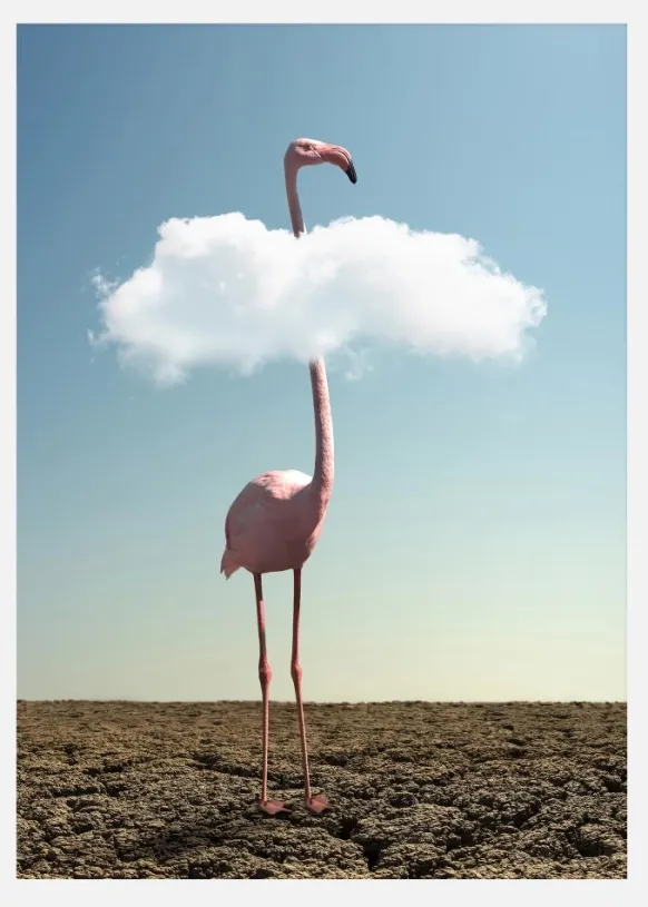 Cloudy Flamingo Canvastavla (30x40 cm)