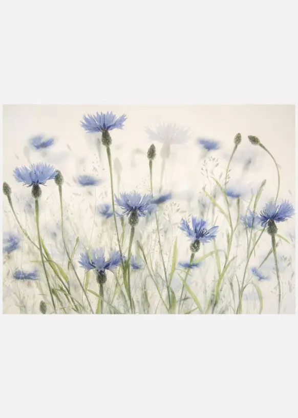 Cornflowers Canvastavla (30x40 cm)