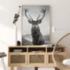 Curious Deer Poster (21x29.7 cm (A4))