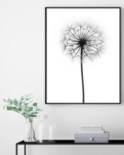 Dandelion Poster (21x29.7 cm (A4))