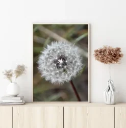 Dandelion Poster (21x29.7 cm (A4))