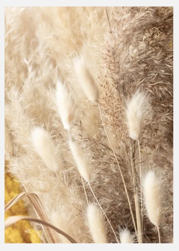Dried Bouquet Canvastavla (30x40 cm)