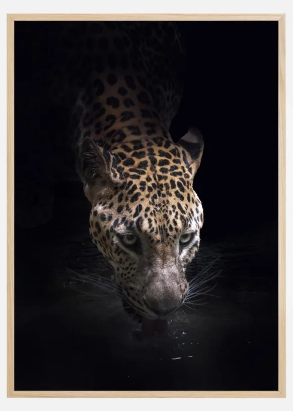 Drinking Poster (21x29.7 cm (A4))