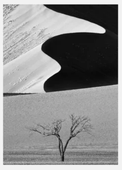 Dune Curves Canvastavla (30x40 cm)
