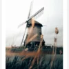 Dutch Windmill Canvastavla (30x40 cm)