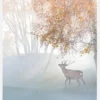 Elk Lost In Mist Canvastavla (30x40 cm)