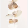 Eucalyptus Creative Gold III Canvastavla (30x40 cm)