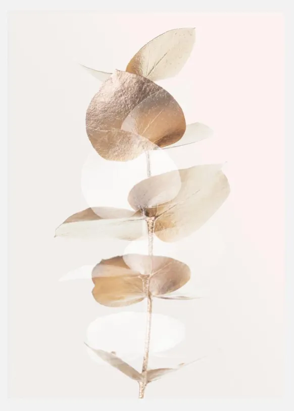 Eucalyptus Creative Gold III Canvastavla (30x40 cm)