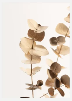 Eucalyptus Gold I Canvastavla (30x40 cm)