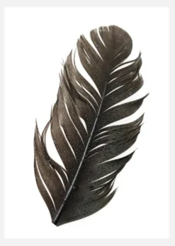 Feather Canvastavla (30x40 cm)