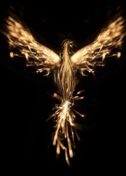 Fenix Poster (21x29.7 cm (A4))
