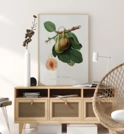 Figs Poster (21x29.7 cm (A4))