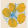 Five Lemons In A Net Bag Canvastavla (30x40 cm)