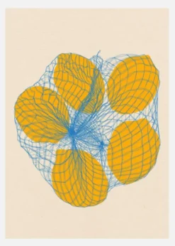 Five Lemons In A Net Bag Canvastavla (30x40 cm)