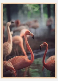 Flamingo Poster (21x29.7 cm (A4))