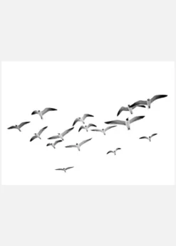 Flying Birds Canvastavla (30x40 cm)
