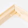 Focus Kilramar 2-pack - 30 cm