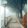 Fogy Autumn Day Canvastavla (30x40 cm)