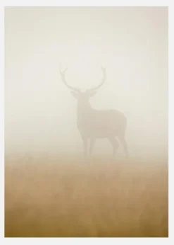 Ghost Stag Canvastavla (30x40 cm)