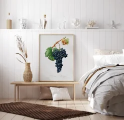 Grapes Poster (21x29.7 cm (A4))