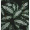 Green Leaves Canvastavla (30x40 cm)