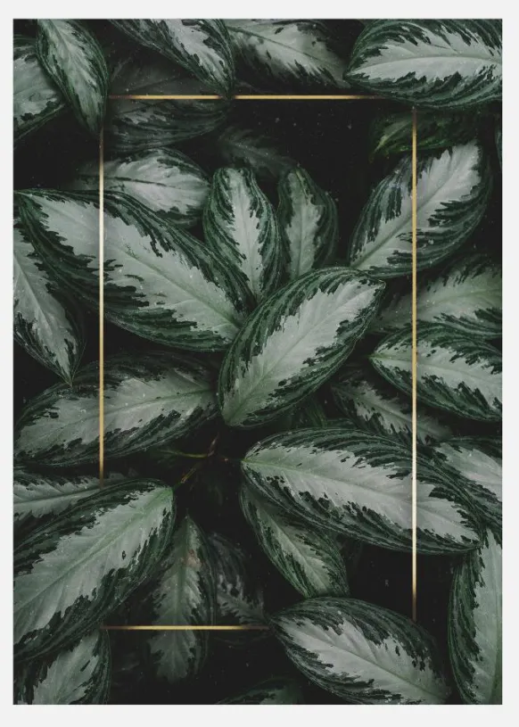 Green Leaves Canvastavla (30x40 cm)