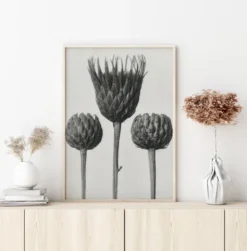 Grey Flower IV Poster (21x29.7 cm (A4))