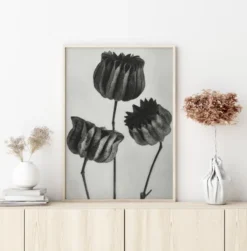 Grey Flower V Poster (21x29.7 cm (A4))