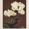 Habrdaceous Peony Poster (21x29.7 cm (A4))