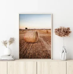 Hay Fields Poster (21x29.7 cm (A4))