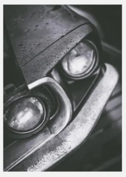 Head Lights Canvastavla (30x40 cm)