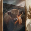 Highland Cow With Big Horns Poster (21x29.7 cm (A4))