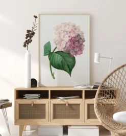 Hydrangea Macrophylla Poster (21x29.7 cm (A4))