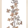 Hydrangea Paniculata Poster (21x29.7 cm (A4))