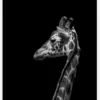 I'm Not Happy Canvastavla (30x40 cm)